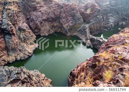 Beautiful Indian landscape in Gharial Sanctuary Beautiful Indian landscape in Gharial Sanctuary 36031794