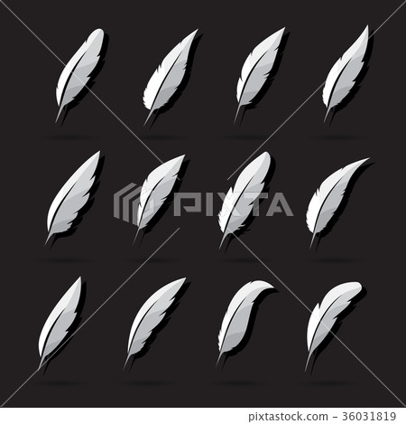 Vector group of feather on white background. Icon. 36031819