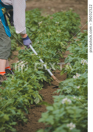 農業 農作 農事 36032522