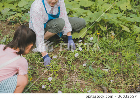 farming, field work, outside 36032557