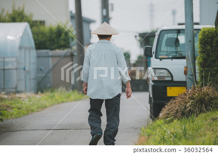 水稻種植 下種 播種 36032564