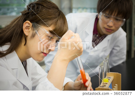 University student science laboratory University student science laboratory 36032877