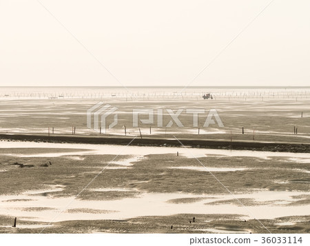 台灣溼地 台灣溼地 36033114