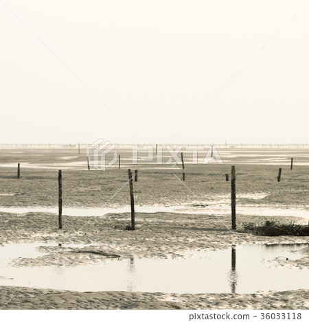 台灣溼地 台灣溼地 36033118