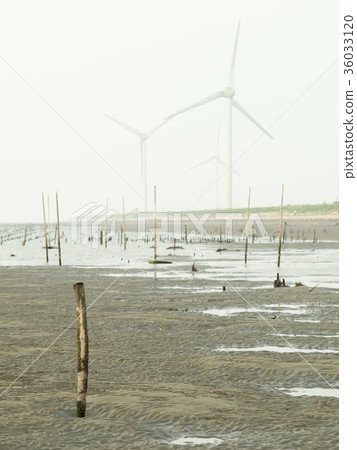 台灣溼地 台灣溼地 36033120