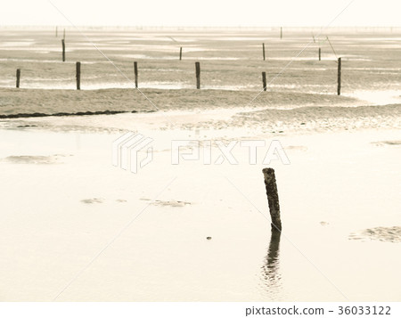 台灣溼地 台灣溼地 36033122