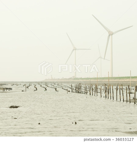 台灣溼地 台灣溼地 36033127