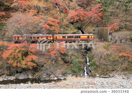 峽谷鐵路通過秋天 36033348