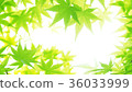 Blue leaves 36033999