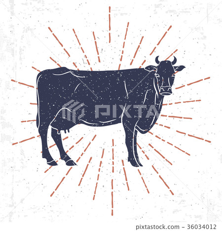 Cow Silhouette with vintage sunburst isolated on 36034012