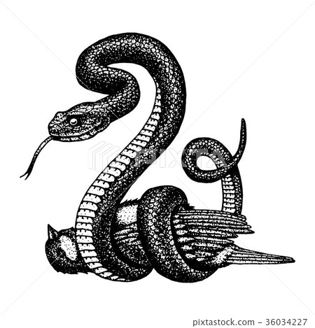 Viper snake. serpent cobra and python, anaconda or Viper snake. serpent cobra and python, anaconda or 36034227