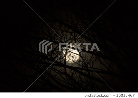 Night sky and the moon. 36035467