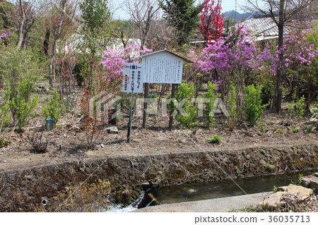 Ogawa Passwalk (Gunma Prefecture, Tamara Town) Ogawa Passwalk (Gunma Prefecture, Tamara Town) 36035713