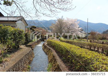 Ogawa Passwalk（群馬縣，塔瑪拉鎮） 36035715