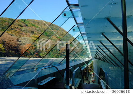 Pola Museum of Art and Autumn Leaves 36036618