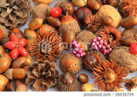Various tree nuts Various tree nuts 36036784