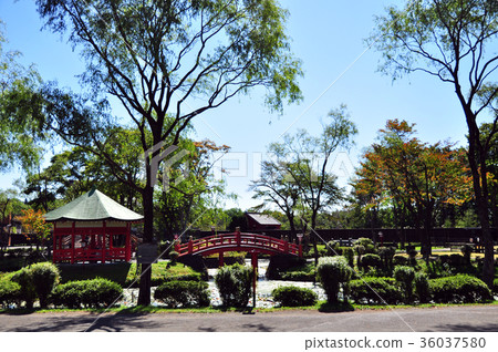 江戶前的城市景觀 江戶前的城市景觀 36037580