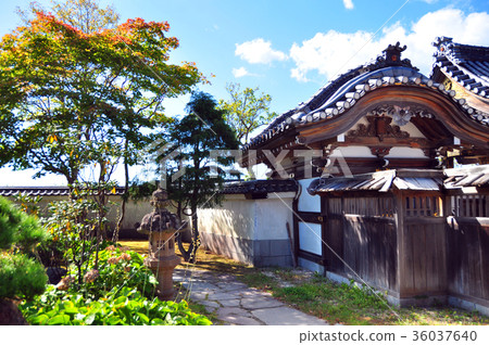 江戶前的城市景觀 36037640