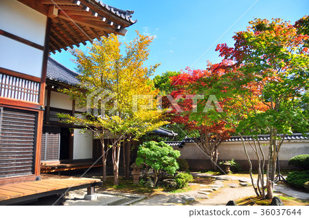 江戶前的城市景觀 36037644