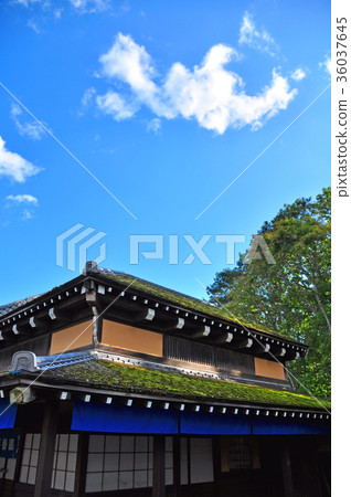 江戶前的城市景觀 36037645