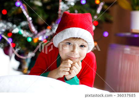Little kid boy in santa hat with Christmas tree 36037685