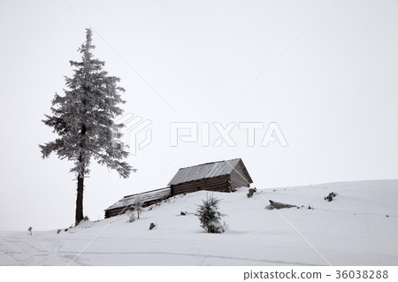 Old wooden huts and frozen pine in winter mountain 36038288