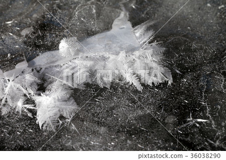 Snowflake on ice of frozen river 36038290