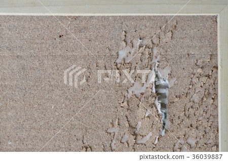 plywood noticeboard scratch from cat paw 36039887