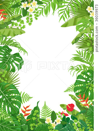 Colorful Frame with Tropical Plants 36039973