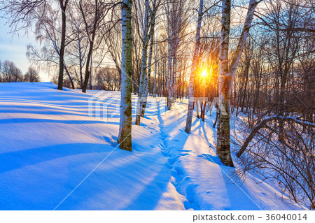 Colorful winter sunset 36040014