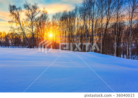 Colorful winter sunset 36040015