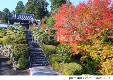 Kyoto Fall Zen Temple Okunoin Kyoto Fall Zen Temple Okunoin 36040224