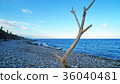 Pacific Ocean, East Coast 36040481