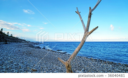 Pacific Ocean, East Coast Pacific Ocean, East Coast 36040481