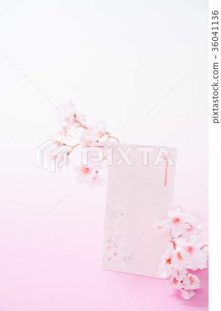 慶祝袋和櫻花 慶祝袋和櫻花 36041136