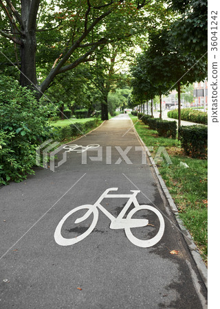 bike paths in the fresh air 36041242