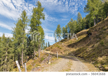 Alpine landscape in Western Carinthia, Austria. Alpine landscape in Western Carinthia, Austria. 36041688
