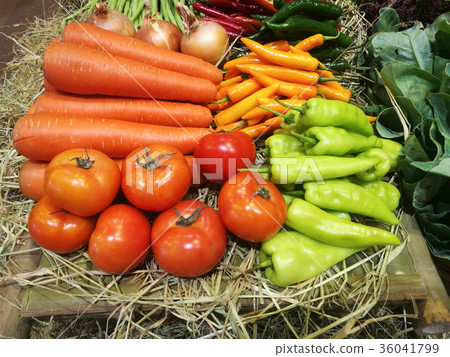 variety of freh colorful vegetables variety of freh colorful vegetables 36041799