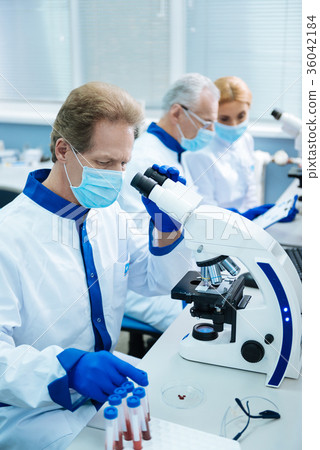 Concentrated scientist working with blood test Concentrated scientist working with blood test 36042184