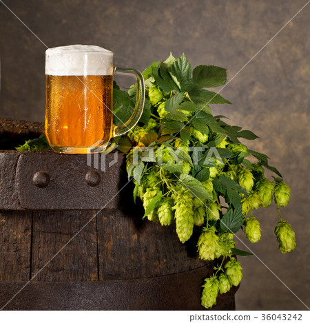 Still Life with Beer Glass and Hop Cones 36043242
