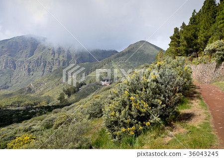 Landscape with Mountains in Gran Canaria. Spain. 36043245