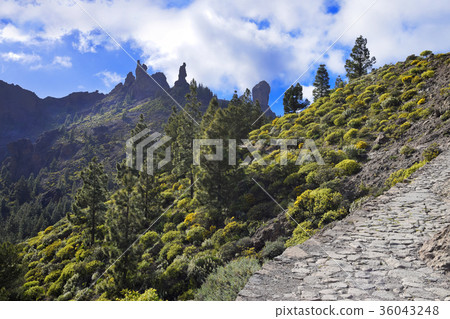 Hike to Roque Nublo in Gran Canaria. Spain. 36043248