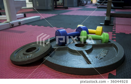 Dumbbell Dumbbell 36044928
