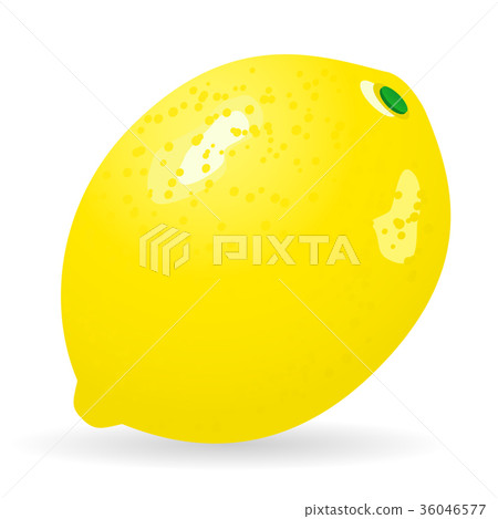 Lemon vector isolated Lemon vector isolated 36046577