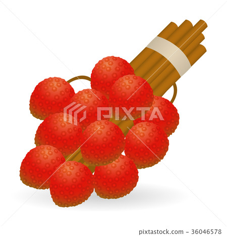 Lychee vector isolated Lychee vector isolated 36046578