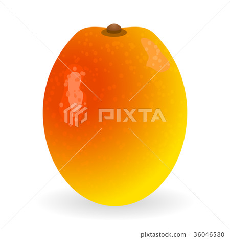 Mango vector isolated Mango vector isolated 36046580