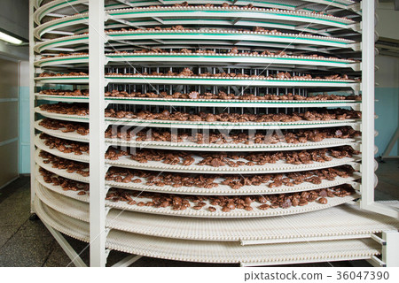 Production line of russian gingerbread on factory 36047390