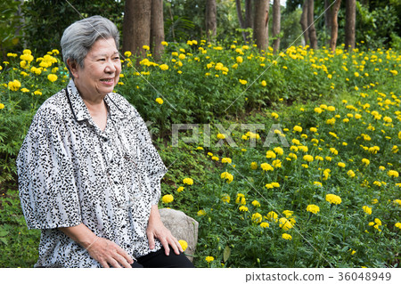 elder woman resting in garden. elderly female relaxing in park. senior leisure lifestyle outdoors. elder woman resting in garden. elderly female relaxing in park. senior leisure lifestyle outdoors. 36048949