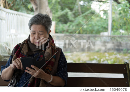 elder woman holding mobile phone sitting on bench in garden. elderly female texting message, using app with cellphone in park. senior use smartphone for social network connection. elder woman holding mobile phone sitting on bench in garden. elderly female texting message, using app with cellphone in park. senior use smartphone for social network connection. 36049078