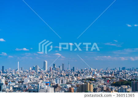 東京都市風景 36051365